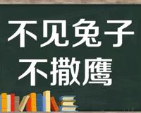 “不见兔子不撒鹰”是什么意思？