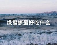 绿鬣蜥最好吃什么 (绿鬣蜥吃什么水果)