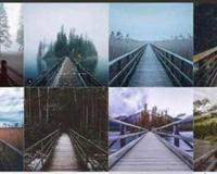 在纯白之月吧 这样判断抄袭