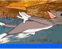 在纯白之月吧 这样判断抄袭