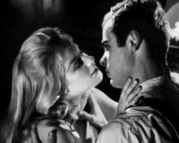 十大网络禁书目录简介