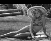 十大网络禁书目录简介