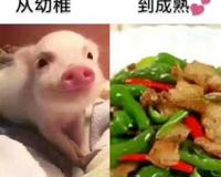 守望先锋安娜个人心得