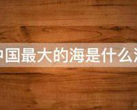 中国最大的海是什么海