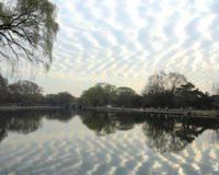 盘点最惊艳的十大奇异云朵