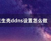 花生壳ddns设置怎么做 (花生壳ddns)