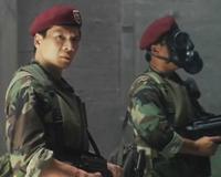 向华强是黑社会吗