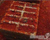 巨型蜈蚣吃掉毒蛇过程视频