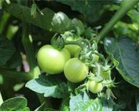 印堂发黑什么意思