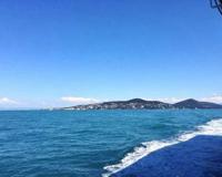 世界最小的海多大