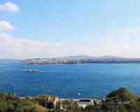 世界最小的海多大