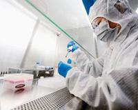 山东本土新增6例