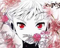 GALGAME Euphoria 评测