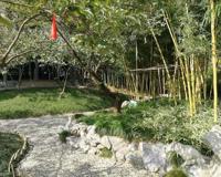 扬州游记个园篇