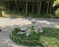 扬州游记个园篇