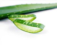 口腔溃疡怎么办最快愈合