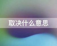 取决什么意思