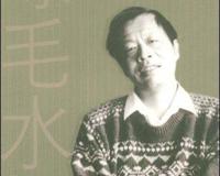 王小波 绿毛水怪