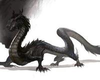 中国龙的种类加简介