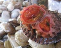 外表最恐怖的10大水下生物