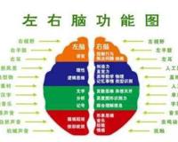 右脑记忆