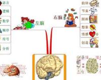 右脑记忆