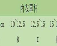 内衣尺寸表