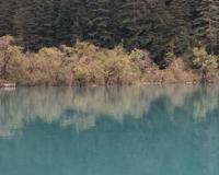 九寨沟旅游心得