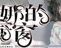 安娜的橱窗的背景故事是什么