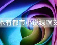 有木有都市小说绿帽文的
