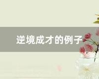 逆境成才的例子 (历史上逆境成才的例子)