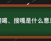 搜噶的意思是什么
