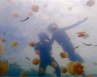 世界上十大杀人湖