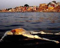 干了这碗恒河水典故