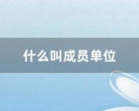 什么叫成员单位