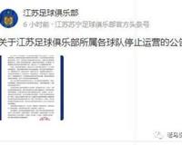 江苏苏宁足球俱乐部停止运营的思考