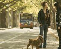 狗十三聂鑫演的谁