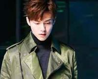 马天宇身世经历