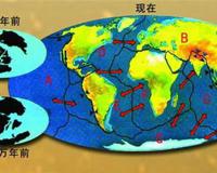 大陆漂移说是谁提出的