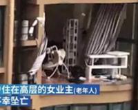 台风黑格比袭来