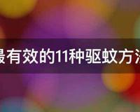 最有效的11种驱蚊方法