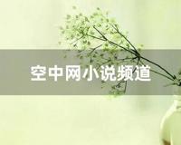 空中网小说频道