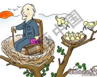 空巢老人占老年人比例多少