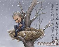 空巢老人占老年人比例多少