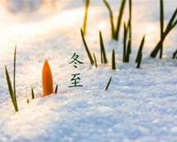 中国冬至好词