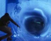 平行时空的真实案例