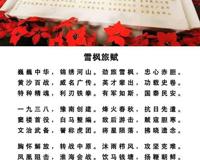 中国最强特种部队  雪枫旅赋