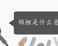 锦鲤是什么意思