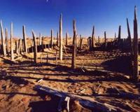 尼雅古城消逝之谜