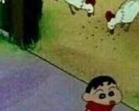 鸡笼警告是什么意思和梗